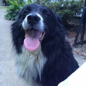 Meet your Posher, Edith